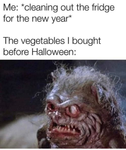 shane daniel garden fridge.jpg